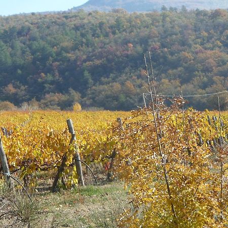 Podere Poggio Mendico Arezzo Eksteriør bilde