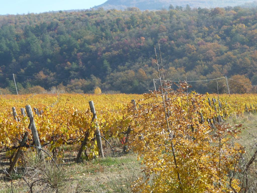 Podere Poggio Mendico Arezzo Eksteriør bilde